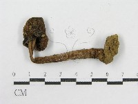 登錄號:F0000649藏品圖，第4張