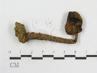 登錄號:F0000649藏品圖，第5張