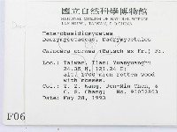 登錄號:F0000650藏品圖，第2張