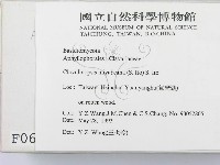 登錄號:F0000652藏品圖，第2張