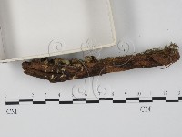 登錄號:F0000654藏品圖，第3張