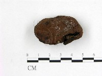 登錄號:F0000656藏品圖，第1張