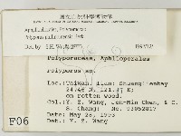 登錄號:F0000659藏品圖，第2張