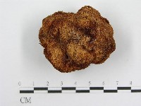 登錄號:F0000660藏品圖，第3張