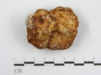 登錄號:F0000660藏品圖，第4張