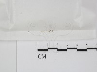 登錄號:F0000661藏品圖，第1張