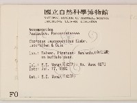 登錄號:F0000663藏品圖，第2張
