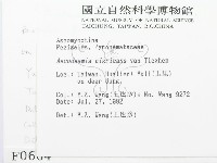 登錄號:F0000664藏品圖，第2張
