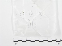 登錄號:F0000664藏品圖，第3張