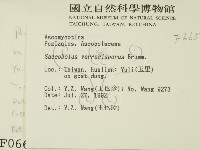 登錄號:F0000665藏品圖，第2張