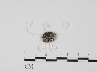 登錄號:F0000665藏品圖，第3張