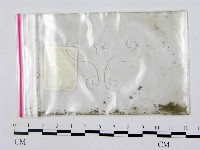 登錄號:F0000668藏品圖，第3張