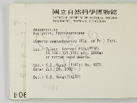 館號:F0000669藏品圖，第2張