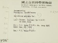 館號:F0000670藏品圖，第2張