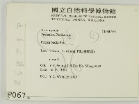 登錄號:F0000671藏品圖，第2張