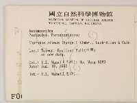 登錄號:F0000672藏品圖，第2張