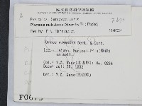登錄號:F0000673藏品圖，第2張