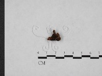 登錄號:F0000673藏品圖，第1張