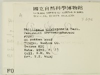 登錄號:F0000674藏品圖，第2張