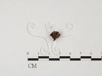 登錄號:F0000674藏品圖，第3張