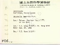 登錄號:F0000675藏品圖，第2張