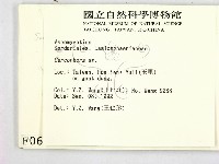登錄號:F0000676藏品圖，第2張