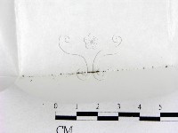 登錄號:F0000676藏品圖，第1張