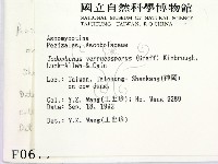 登錄號:F0000677藏品圖，第2張