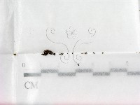 登錄號:F0000677藏品圖，第1張