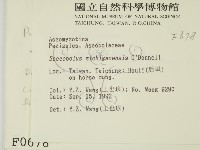 登錄號:F0000678藏品圖，第2張