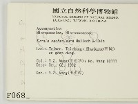 登錄號:F0000681藏品圖，第2張