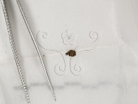 登錄號:F0000681藏品圖，第1張