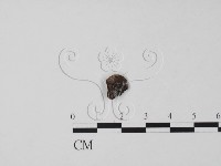 登錄號:F0000683藏品圖，第1張