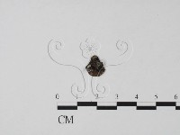 登錄號:F0000683藏品圖，第3張