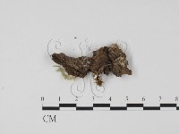 登錄號:F0000685藏品圖，第3張