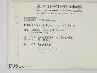 登錄號:F0000686藏品圖，第2張