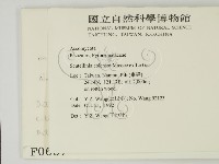 登錄號:F0000687藏品圖，第2張