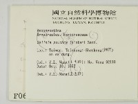 登錄號:F0000688藏品圖，第2張