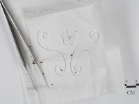 登錄號:F0000688藏品圖，第1張