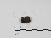 登錄號:F0000689藏品圖，第1張