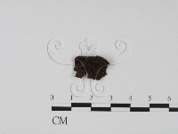 登錄號:F0000689藏品圖，第3張