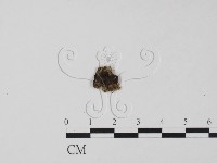 登錄號:F0000690藏品圖，第1張