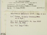 登錄號:F0000691藏品圖，第2張
