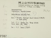 登錄號:F0000694藏品圖，第2張