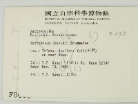 登錄號:F0000695藏品圖，第2張