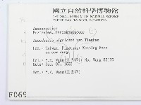 登錄號:F0000696藏品圖，第2張