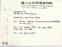 登錄號:F0000697藏品圖，第2張