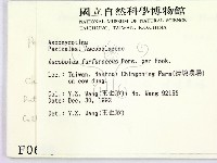 登錄號:F0000698藏品圖，第2張