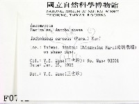 登錄號:F0000702藏品圖，第2張