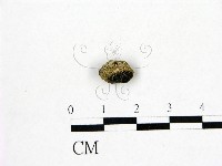 登錄號:F0000702藏品圖，第1張
